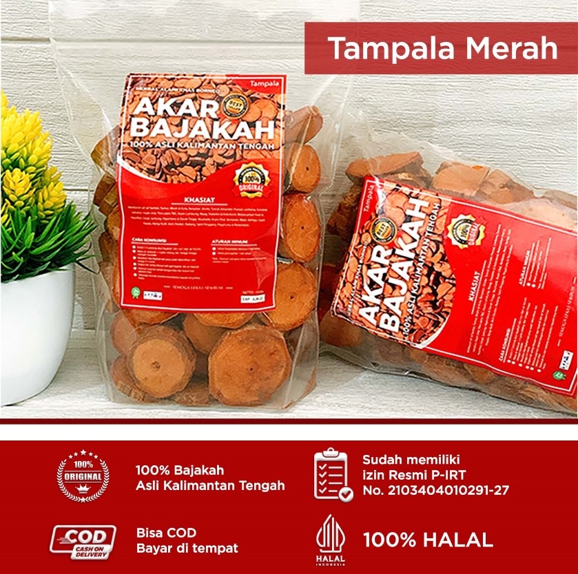 bajakah.id